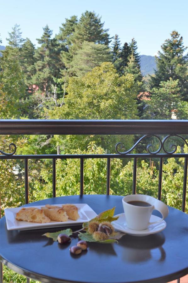 Hotel Dryades Eláti Zewnętrze zdjęcie